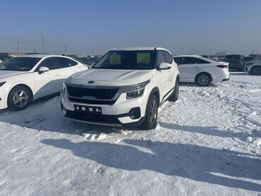 Kia: Kia Seltos: 2020 г., 1.6 л, Робот, Дизель, Кроссовер