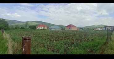 Torpaq sahələrinin satışı: 12 sot, Tikinti, Mülkiyyətçi, Kupça (Çıxarış)