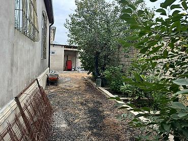 ev satisi gəncə: 3 otaqlı, 115 kv. m, Yeni təmirli — 5