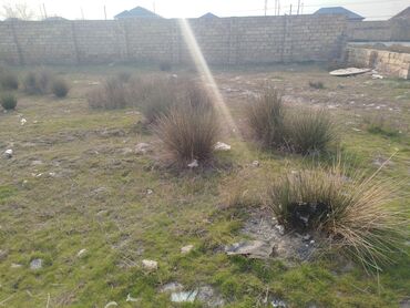 Torpaq sahələrinin satışı: 6 sot, Tikinti, Makler, Kupça (Çıxarış) — 3