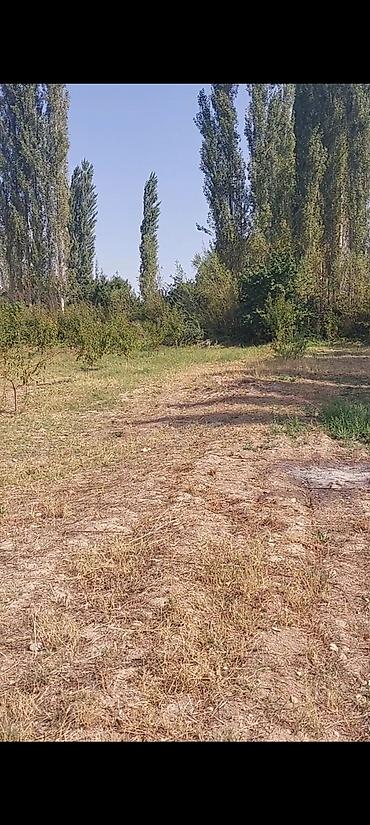 Продажа участков: 30 соток — 6