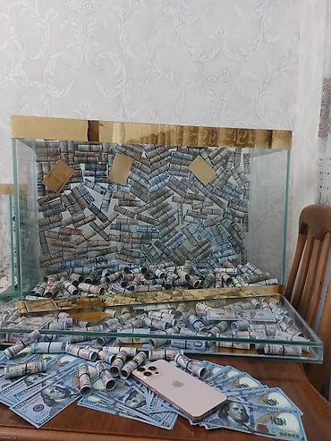 ceyran buynuzu: 70×45×25 bõyük olan.Balaca olan 50×30×25. isdədiyiviz õlçû sifariş — 3