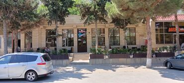 Xadimələr, təmizlikçilər: Ofisiant tələb olunur, Kafe, Gündəlik ödəniş, 30-45 yaş, 1-2 illik təcrübə