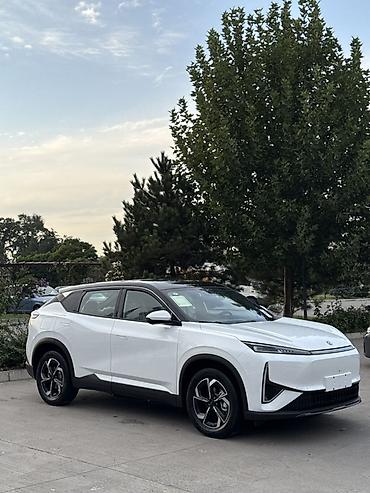 задний стоп миленум: Dongfeng : 2026 г. — 3