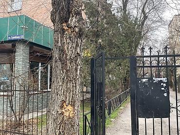 Долгосрочная аренда квартир: 3 комнаты, Собственник, Без подселения, С мебелью частично — 1