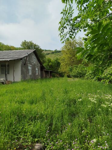 Torpaq sahələrinin satışı: 24 sot, Biznes üçün, Mülkiyyətçi, Kupça (Çıxarış) — 10