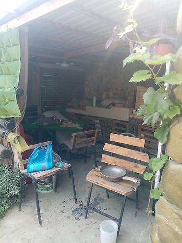 suraxan: 3 sot, Makler, Kupça (Çıxarış) — 7