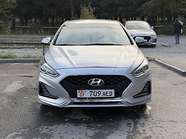 sea lion byd: Hyundai Sonata: 2017 г., 2 л, Автомат, Газ, Седан — 1