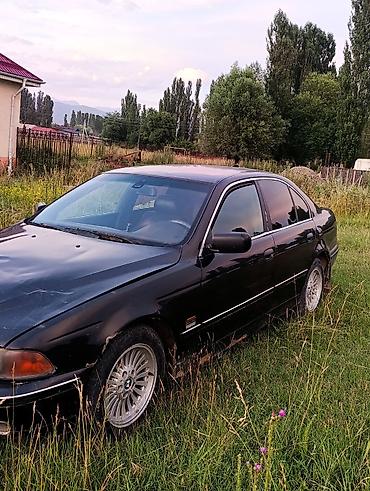 crown athlete 3 5: BMW 525: 2000 г., 2.5 л, Автомат, Бензин, Седан — 3