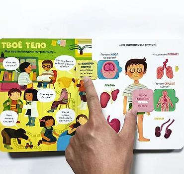 мозг: Книга с окошками «Тело человека» (издательство Clever) - Формат — 6