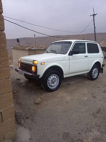 sukan lada: VAZ (LADA) 4x4 Niva: 1.7 l | 1998 il 176000 km Ofrouder/SUV — 8