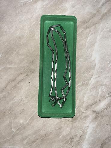 boyunbag: Boyunbağı, Gümüş, Ünvandan götürmə, Pulsuz çatdırılma, Ödənişli çatdırılma — 1