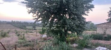 Torpaq sahələrinin satışı: Kənd təsərrüfatı, Mülkiyyətçi — 35