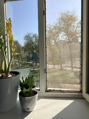 гостинечного типа: 1 комната, 29 м², Филармония Индивидуалка, 2 этаж, Свежий ремонт — 9