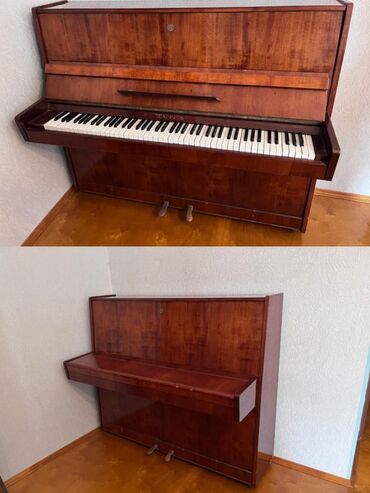 цифровой меридиан терапия инструмент: Piano, Belarus, Akustik, İşlənmiş, Ünvandan götürmə