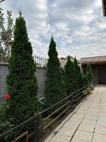 Продажа коттеджей и домов: Продается 2эт. Дом ж/м Алтын Ордо ул.21 (рядом с ул.Ахунбаева) 202 — 19