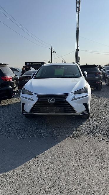 185 55 15: Lexus NX: 2018 г., 2 л, Автомат, Бензин, Кроссовер — 3