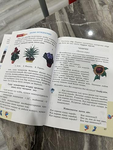 аружиа: Учебник «Мекен таануу. — автор Г. И. Адилова. - Предмет: «Мекен — 2