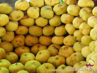 Quru meyvələr: Pirşaĝı quru enciri. Yayda Pirşaĝıda quruduruq. Kohne sovet krovatinda — 2