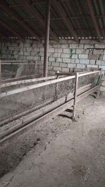 Həyət evləri və villaların satışı: 6 otaqlı, 130 kv. m, Kredit yoxdur, Yeni təmirli — 14