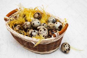 яйца цена бишкек: Перепелиные яйца Перепелиные яйца - это эликсир молодости.А также