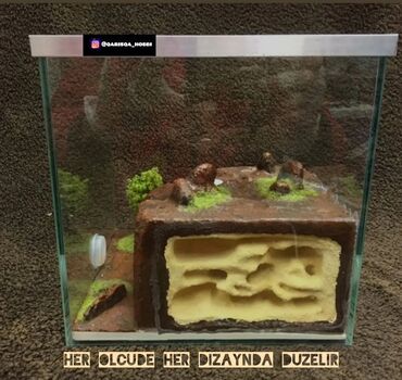 Heyvanlar üçün digər mallar: Hər ölçüdə hər dizaynda qarışqa yuvaları yığılır səliqəli və təmiz — 19