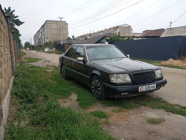 хендай солярис бишкек цена: Mercedes-Benz W124: 1990 г., 2 л, Механика, Бензин, Седан