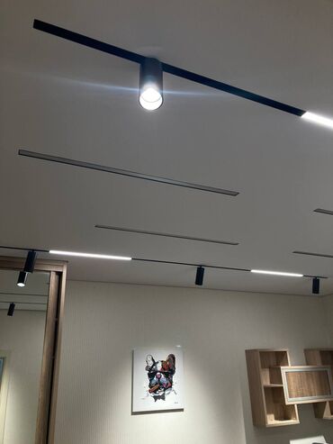 Осветительные приборы: Теневой потолок на теневом и парящем профиле с магнитными треками и