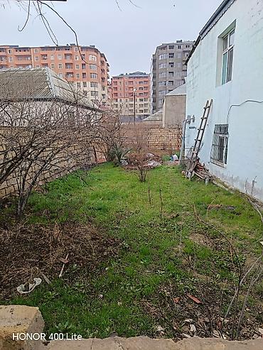 Xalçalar: Xalça Dekorativ — 18