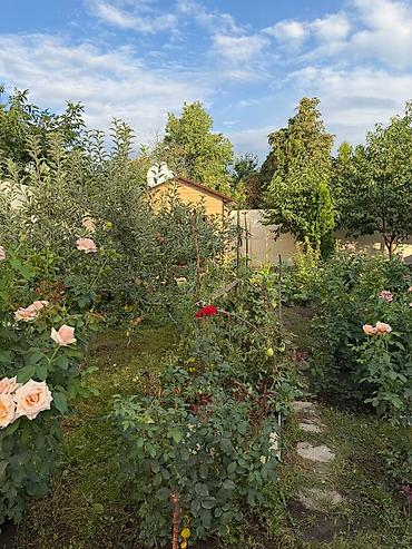 1 ком куплю: 🌿 Продаётся уютный благоустроенный загородный дом в живописном месте! — 1