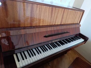 Musiqi alətləri: Piano, Akustik