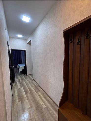 Mənzil kirayələyirəm: 2 otaqlı, 55 kv. m — 16