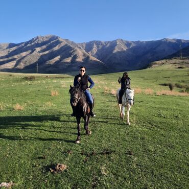 туры в дубай из бишкека 2020: Ат минем Конная катания Конная прогулка #horse_rancho Арашан