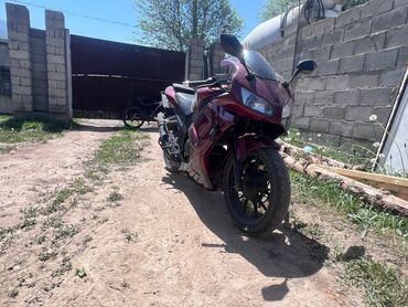 мотоциклы питбайк: Спортбайк Honda, 250 куб. см, Бензин, Взрослый, Б/у