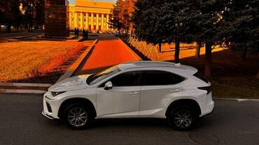 танк 300: Lexus NX: 2018 г., 2 л, Автомат, Бензин, Кроссовер