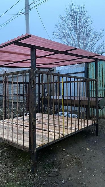 Товары и оборудование для с/х животных: Койкана койго жана козуга ылайыкташкан краскасын кылып берем 8 баш — 3