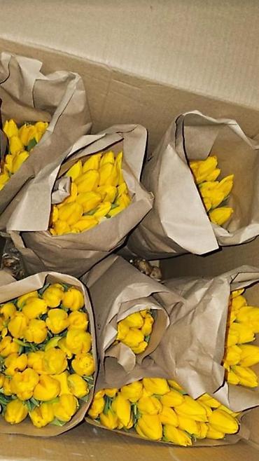 Тюльпан: Тюльпаны оптом - Цена: от 90 сом - Длина: 60 см - Тюльпаны с — 4