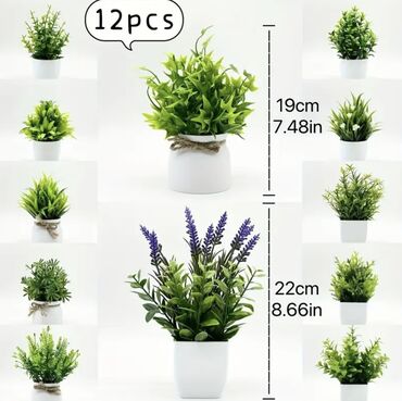 Süni güllər: 🌸 İstədiyiniz dibçəyi, istədiyiniz ölçüdə yığırıq! 🏡 Evlər, ofislər -da lalafo.az — 5 Süni güllər: 🌸 İstədiyiniz dibçəyi, istədiyiniz ölçüdə yığırıq! 🏡 Evlər, ofislər — 5