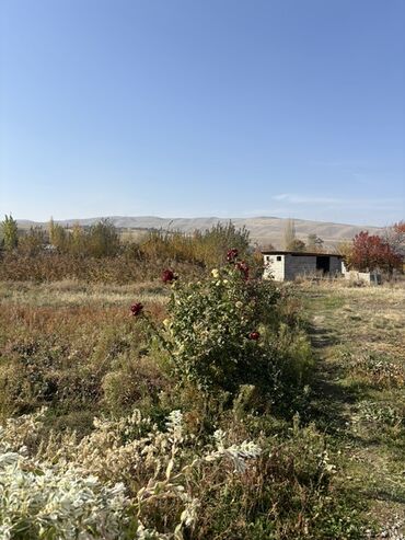 аренда помещений под кафе ресторан: 10 соток