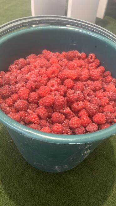 мясо цена бишкек сегодня: Малина В розницу, Самовывоз