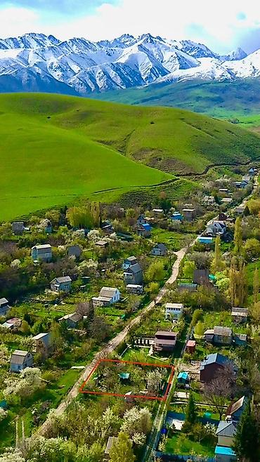 ысык куле: 5 соток, Курулуш, Кызыл китеп — 1
