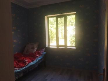 Həyət evləri və villaların satışı: Bağ evi/həyətyanı sahə - Geniş həyət: yaşıllıq, ağaclar və dekorativ — 10
