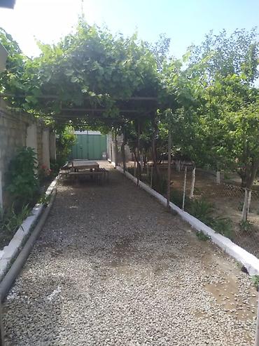 seven points: Saray 4 otaqlı, 100 kv. m, Orta təmir — 4