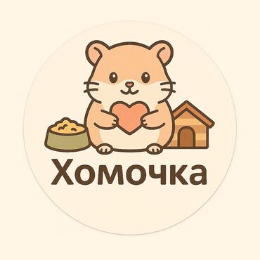 золотистая шиншилла: 🐹 Привет из мира пушистиков! 🐾 У нас в продаже — самые милые Хомяки