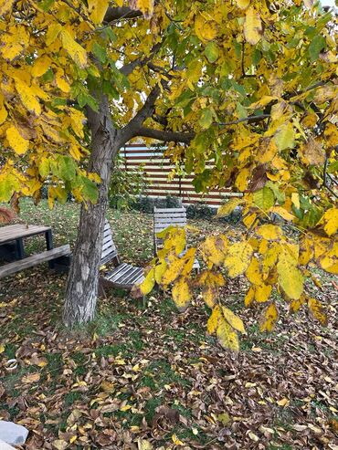 Günlük kirayə evlər: 70 kv. m, 3 otaqlı, Artezian quyusu, Su, Qaz — 11