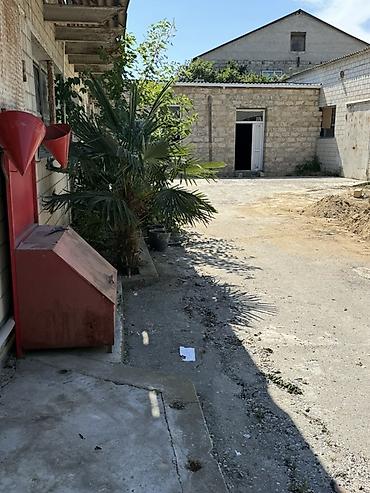 samux rayon: BAKIXANOV, SABUNÇU 210 kv.m icarəyə verilir Sahə seçimi: Obyektin həm — 3