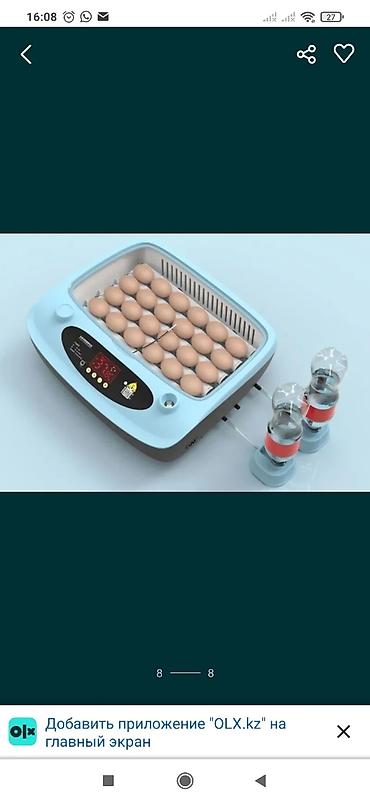 Инкубаторы: Инкубатор умница полный автомат новинка 2022года работает на 12вольт — 7