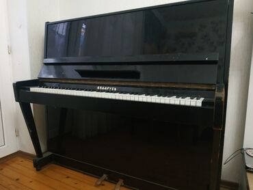 Akkordeonlar: Piano, Belarus, Akustik, İşlənmiş, Ünvandan götürmə