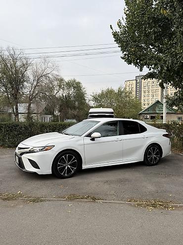Toyota: Toyota Camry: 2019 г., 2.5 л, Автомат, Бензин, Седан — 7