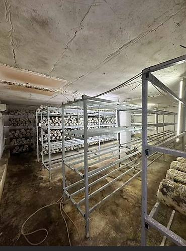 Продажа цехов, заводов, фабрик: Цех, 1140 м² — 3